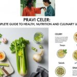 Pravi Celer: A Complete Guide to Health, Nutrition, and Culinary Uses