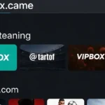 Unlocking Entertainment: A Comprehensive Guide to www.VIPBox.com